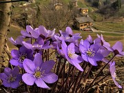 Al Pizzo Grande e al Monte Molinasco da Alino di S. Pellegrino il 16 marzo 2022-FOTOGALLERY